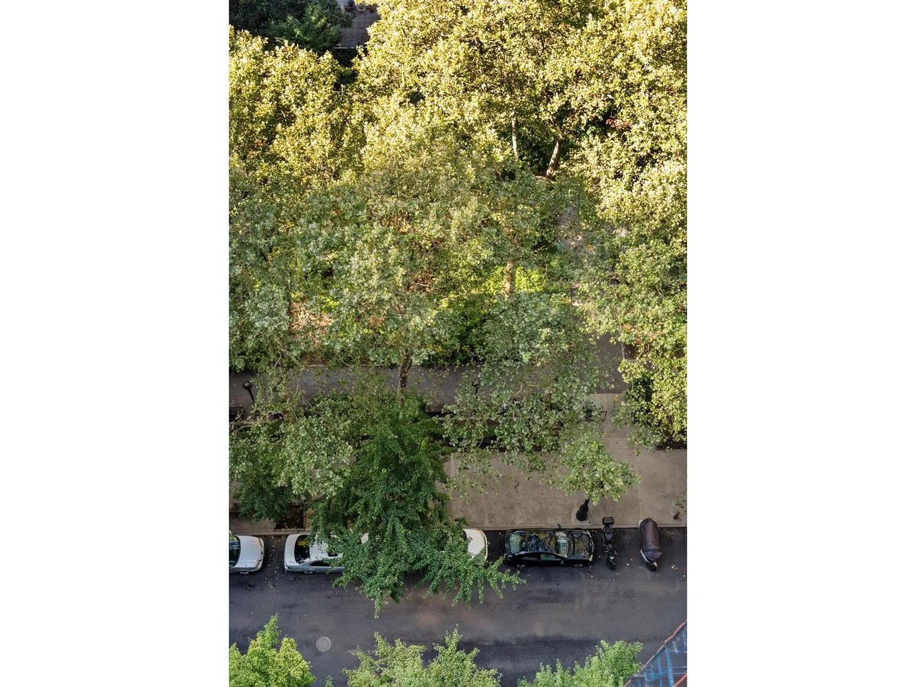 Apartamento de 1 Dormitório à Venda em Manhattan – New York, NY - 6
