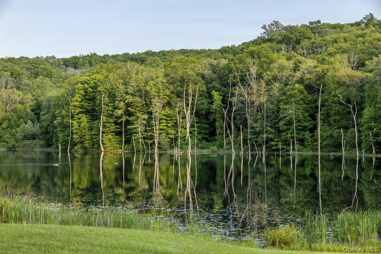 Propriété à Vendre à Pawling, NY – Woodland Waters - 4