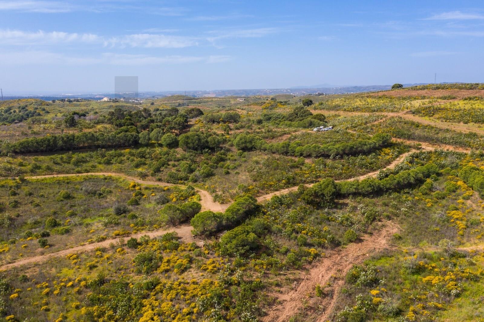 Propriété à Vendre à Cabanas De Tavira - Faro - Portugal - 7