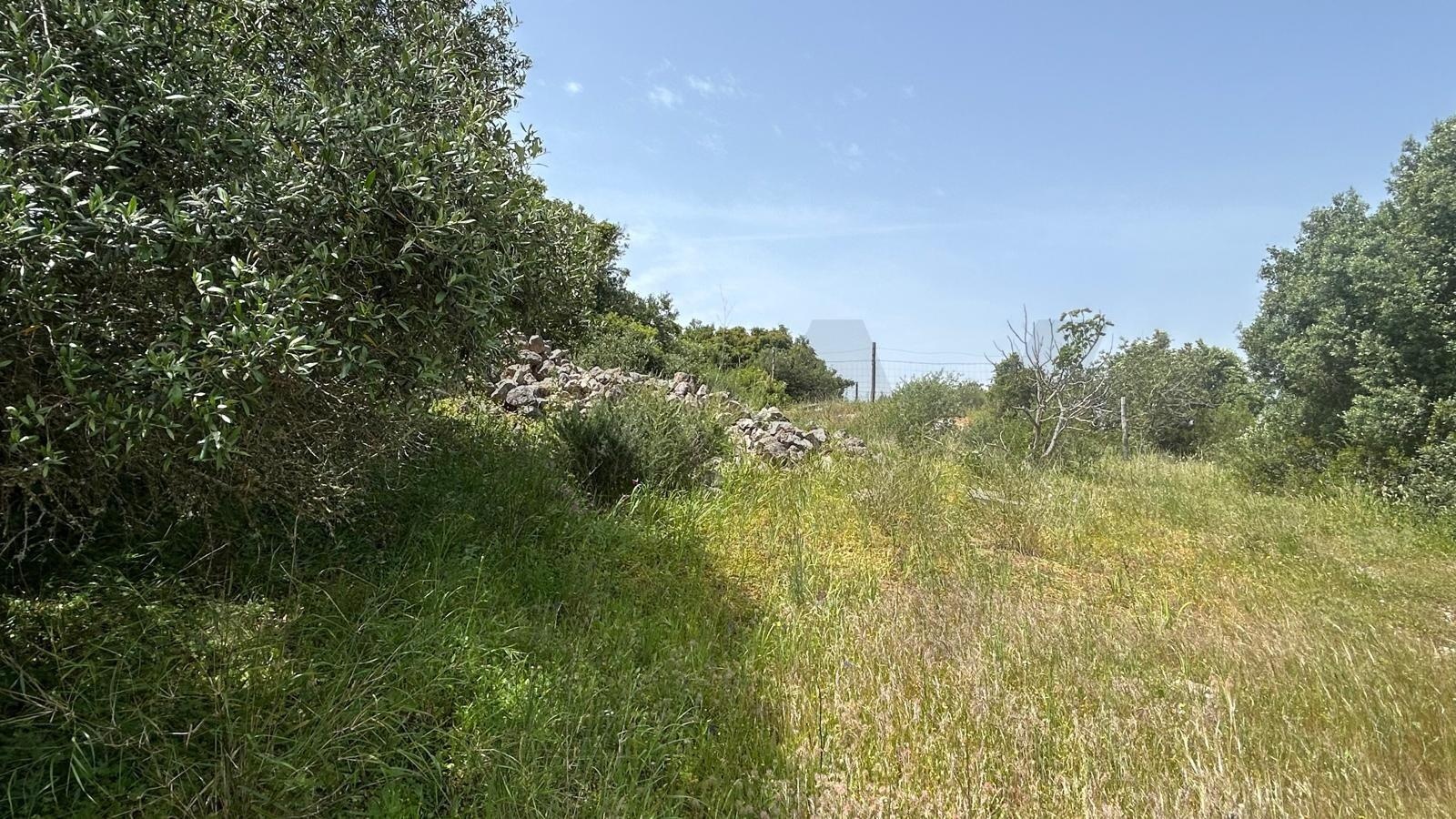 Propriété à Vendre à Carvoeiro - Faro - Portugal - 6