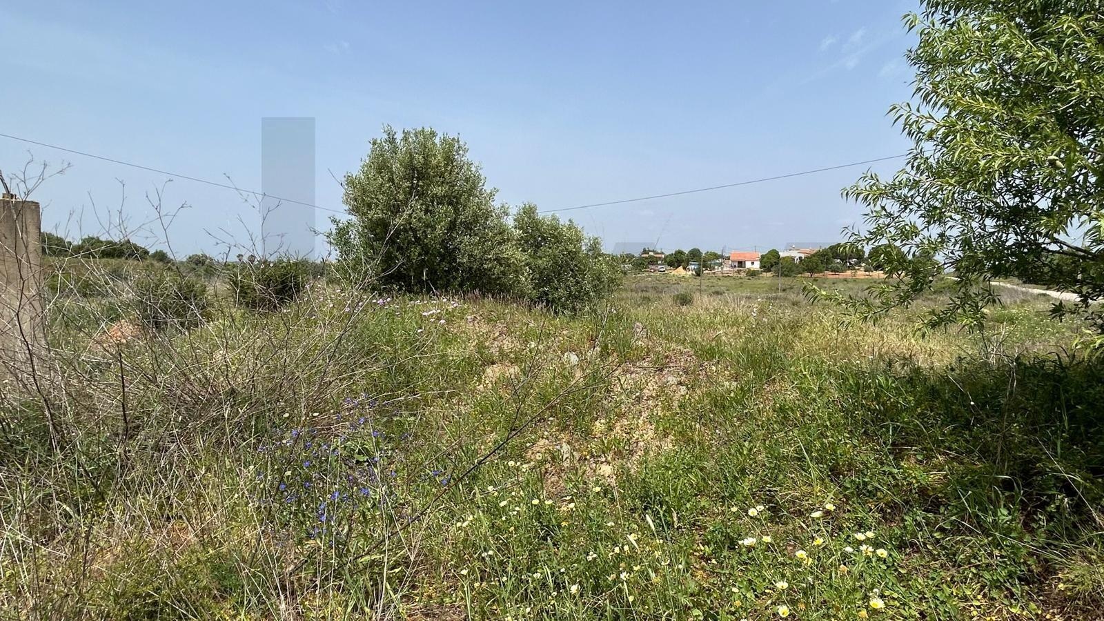 Propriété à Vendre à Carvoeiro - Faro - Portugal - 7