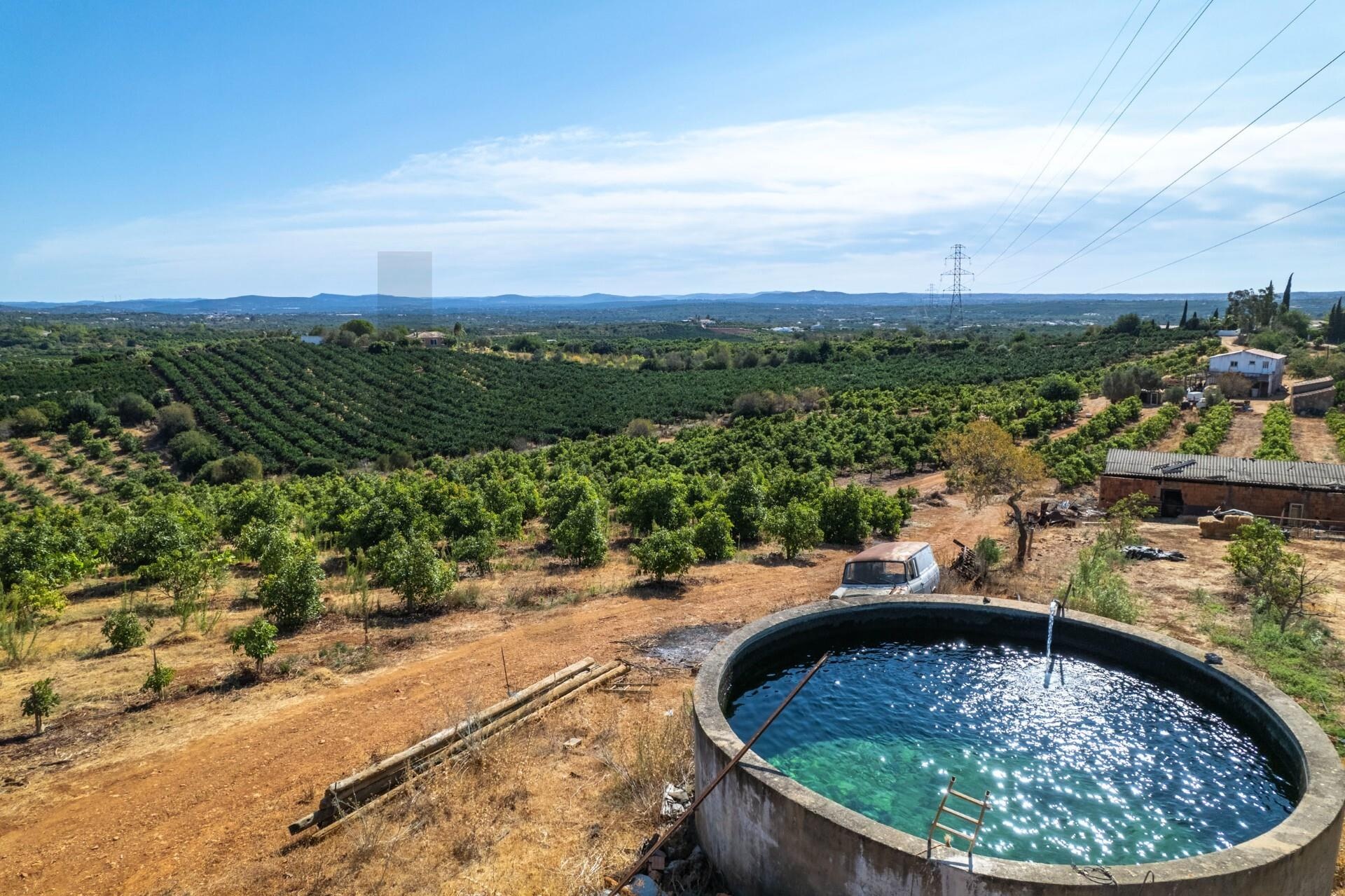Propriété à Vendre à Silves - Faro - Portugal - 1