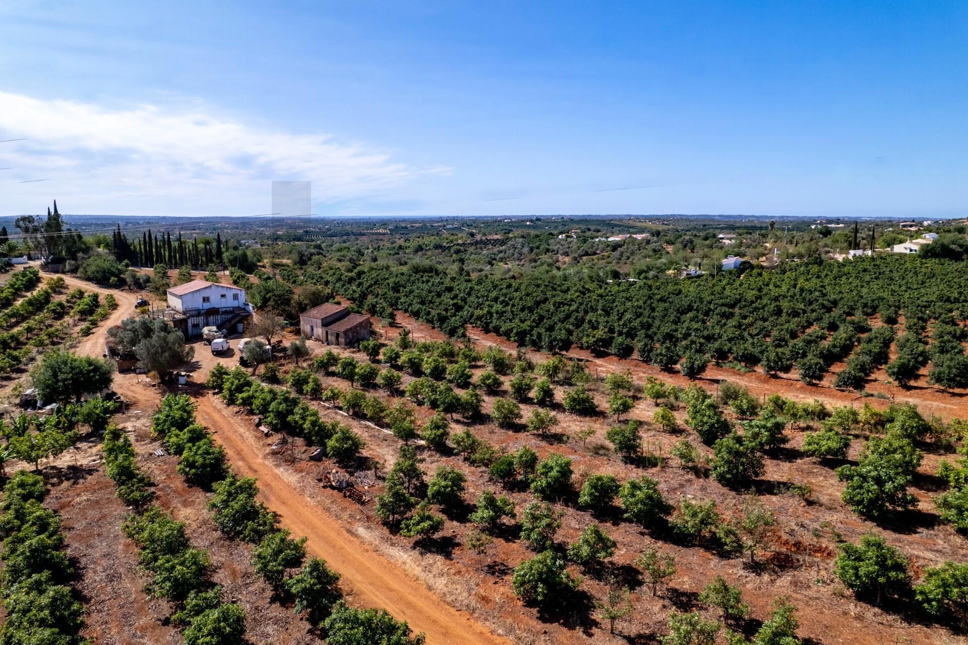 Propriété à Vendre à Silves - Faro - Portugal - 3