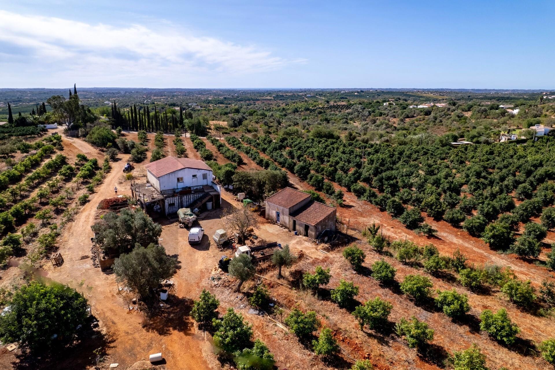 Propriété à Vendre à Silves - Faro - Portugal - 4