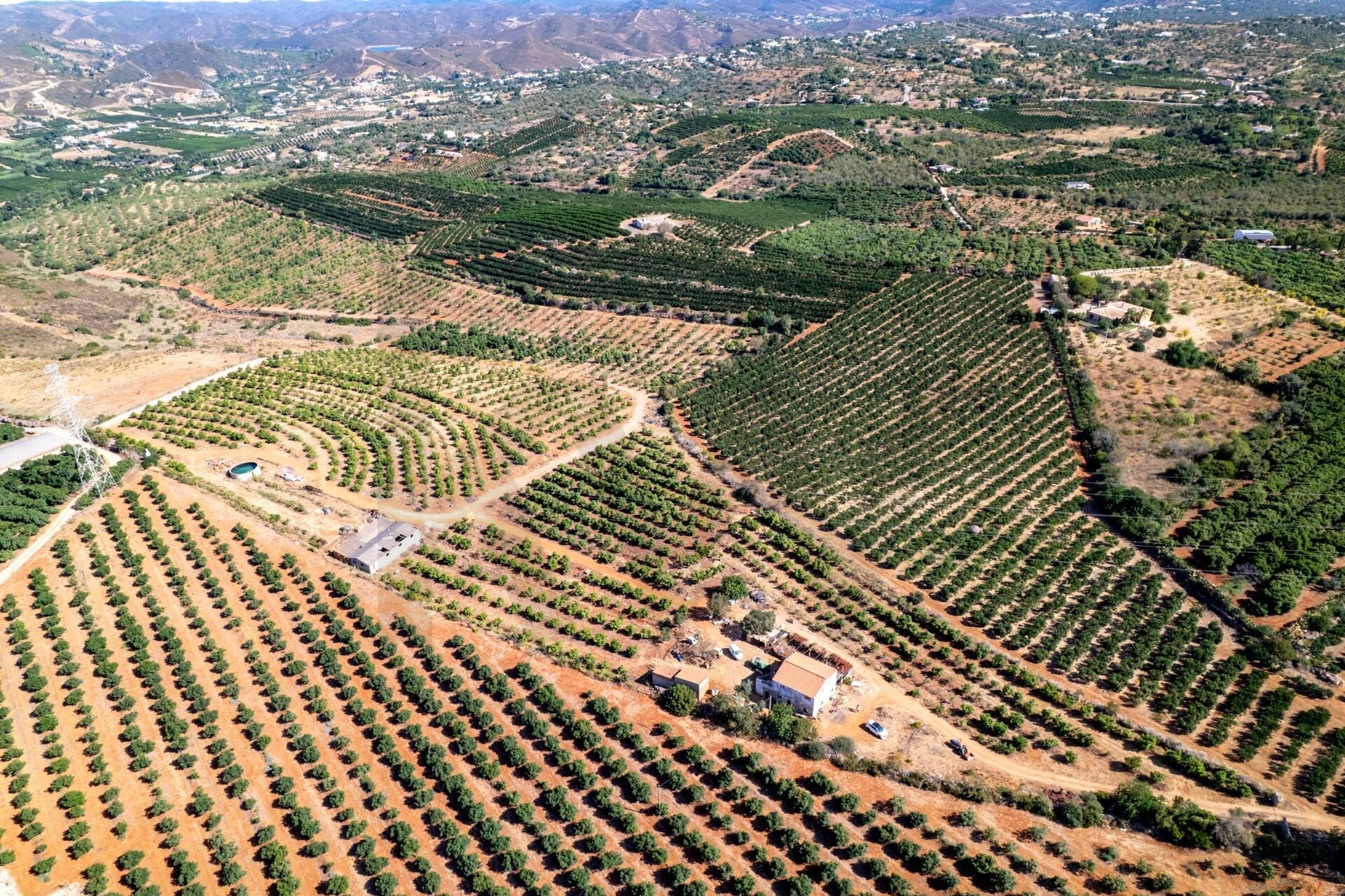 Propriété à Vendre à Silves - Faro - Portugal - 5