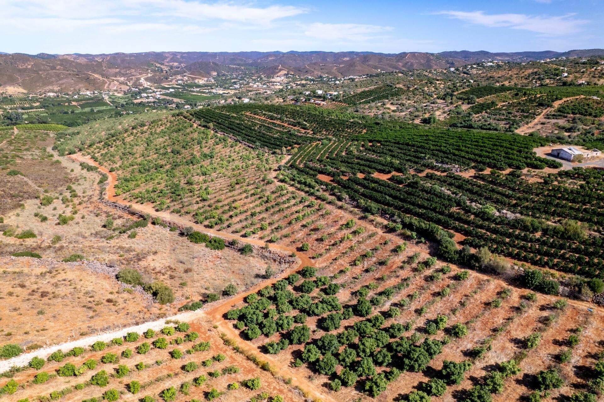 Propriété à Vendre à Silves - Faro - Portugal - 8