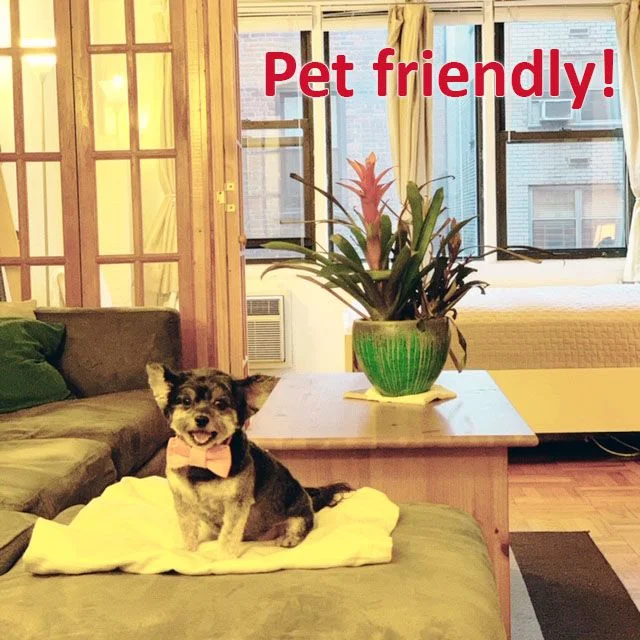 Studio For Sale at 220 East 54th Street – Manhattan – New York – NY - 6