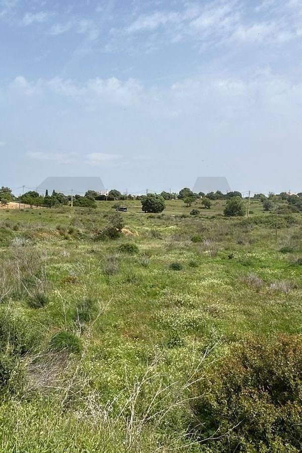 Propriété à Vendre à Carvoeiro - Faro - Portugal