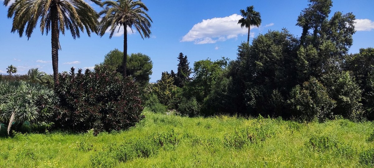 Apartamento à Venda em Sotogrande - Costa del Sol - 3