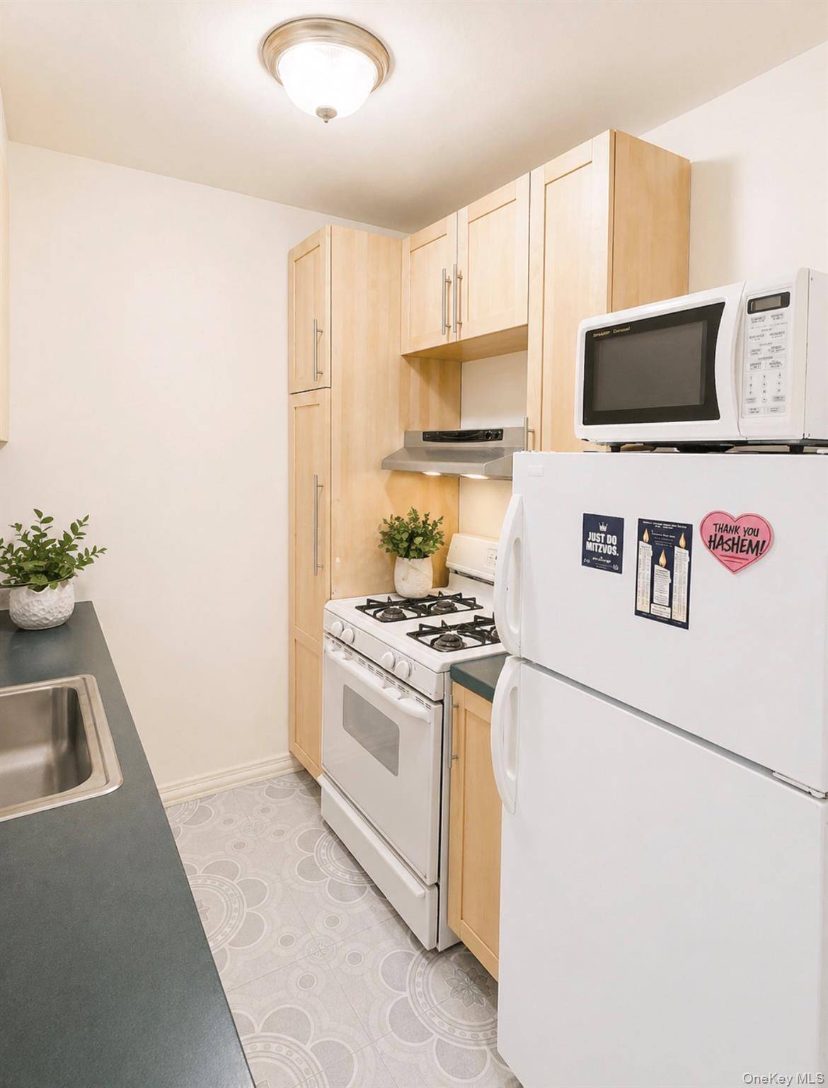 2 Bedroom Home for Sale in Jamaica - New York - USA - 3