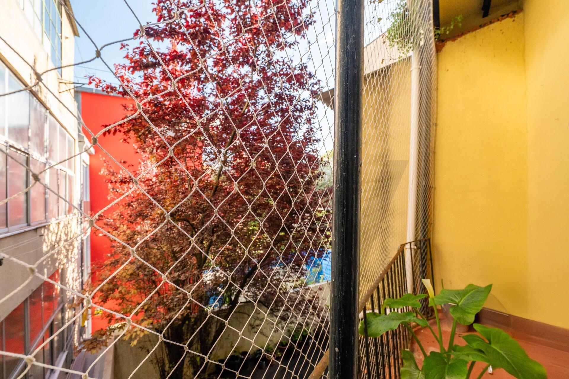 Apartamento T1 en Venta en Campo De Ourique - Lisboa - Portugal - 8
