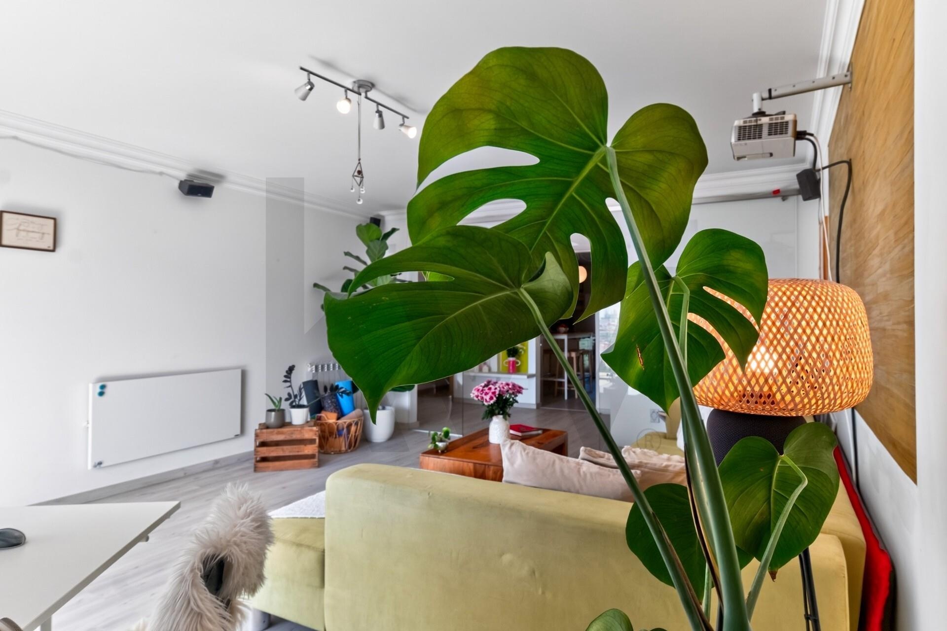Apartamento T2 à Venda em Ericeira - Lisboa - Portugal - 7