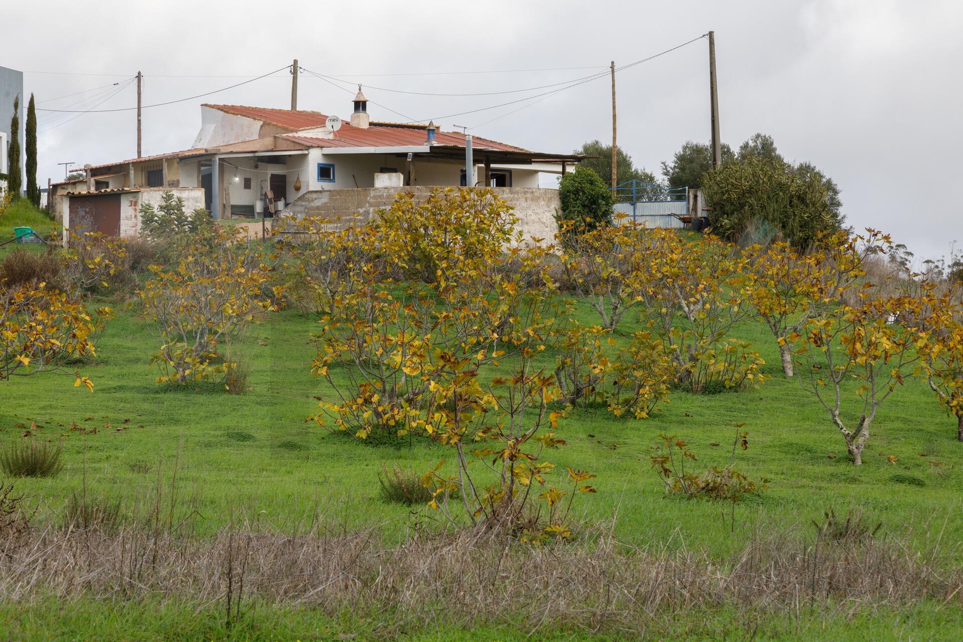 Quinta T3 à Venda em Portimão - Algarve - Portugal - 3