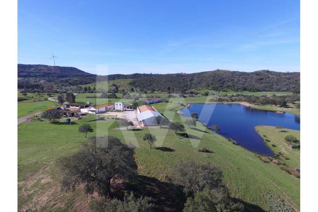 Quinta T5+ à Venda em Silves - Algarve - Portugal - 5