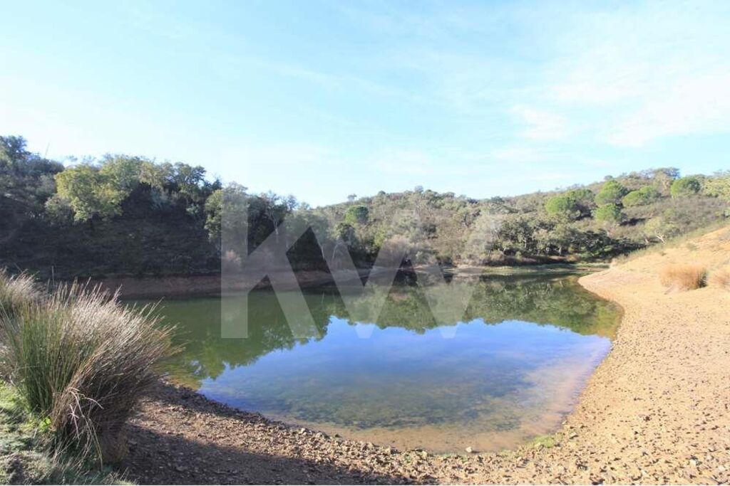 Quinta T5+ à Venda em Silves - Algarve - Portugal - 6