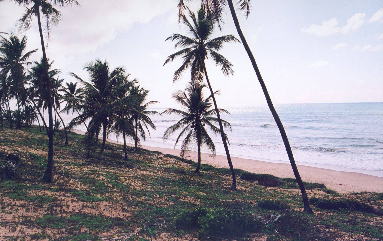 Área à Venda em Conde - Bahia - Brasil - 3