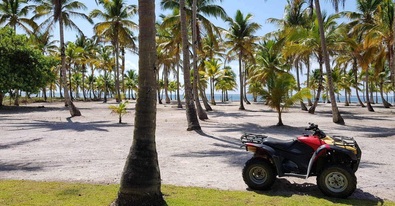 Área à Venda em Igrapiúna - Bahia - Brasil - 4