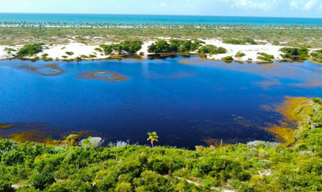 Área à Venda em Imbassaí - Bahia - Brasil - 1