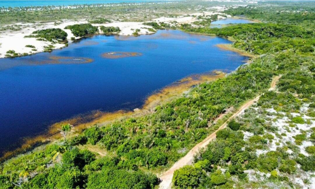 Área à Venda em Imbassaí - Bahia - Brasil - 6