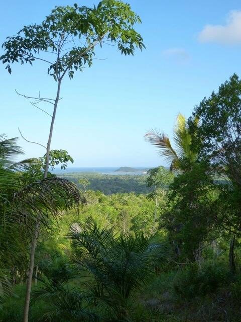 Área à Venda em Itacaré - Bahia - Brasil - 2