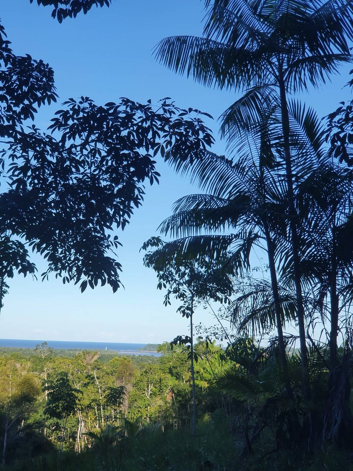 Área à Venda em Itacaré - Bahia - Brasil - 4