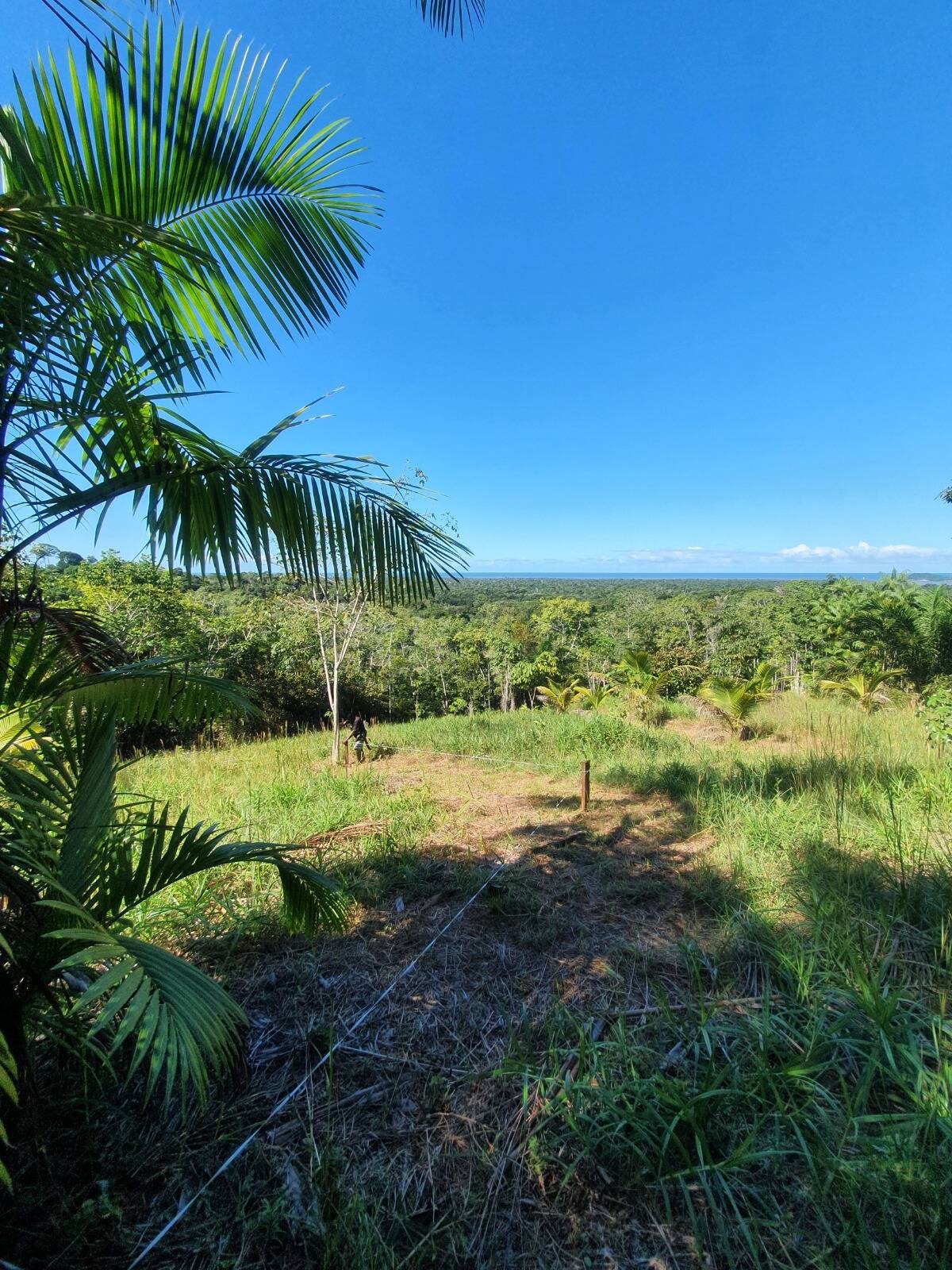 Área à Venda em Itacaré - Bahia - Brasil - 5