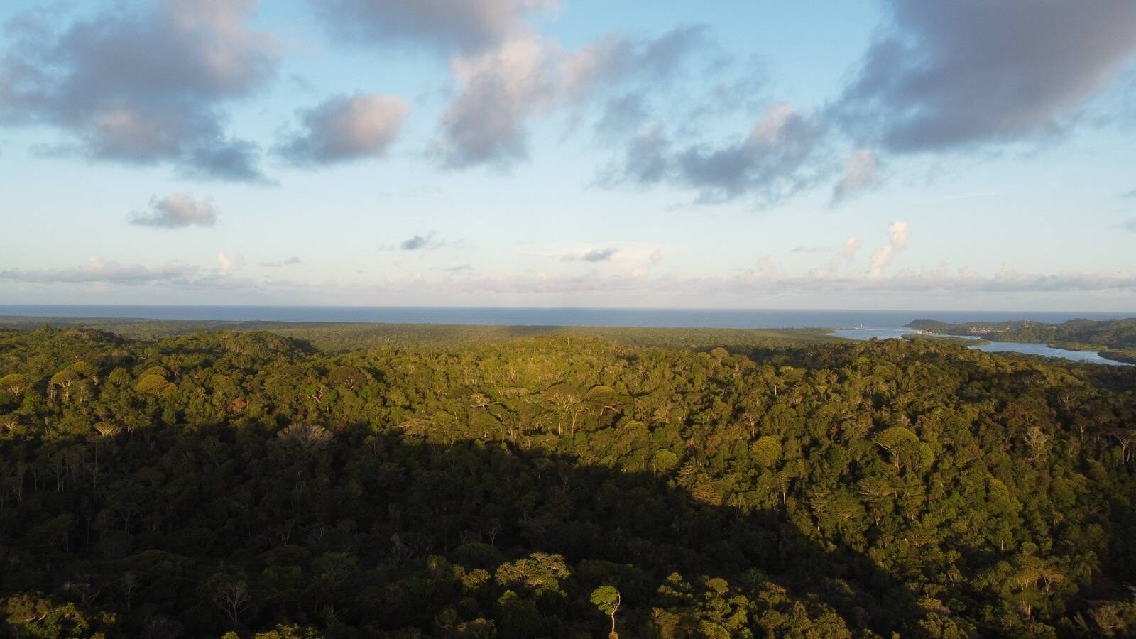 Área à Venda em Itacaré - Bahia - Brasil - 6