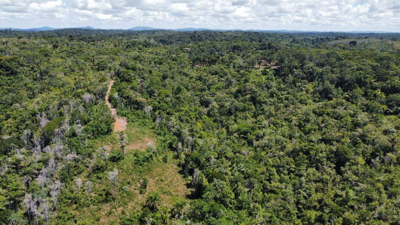Área à Venda em Itacaré - Bahia - Brasil - 3