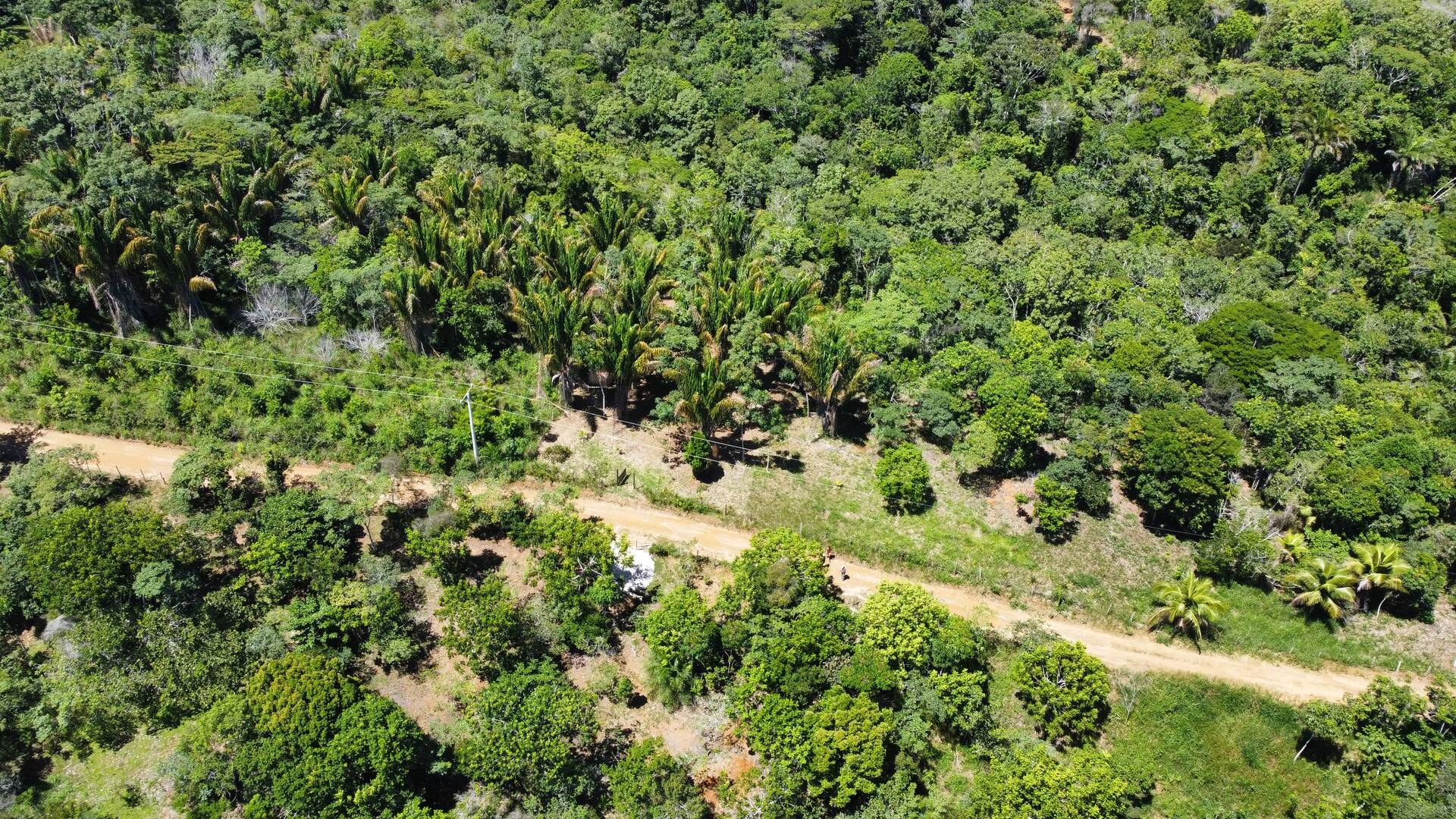 Área à Venda em Itacaré - Bahia - Brasil - 6