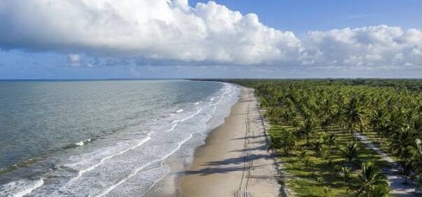 Área à Venda em Ituberá - Bahia - Brasil - 1