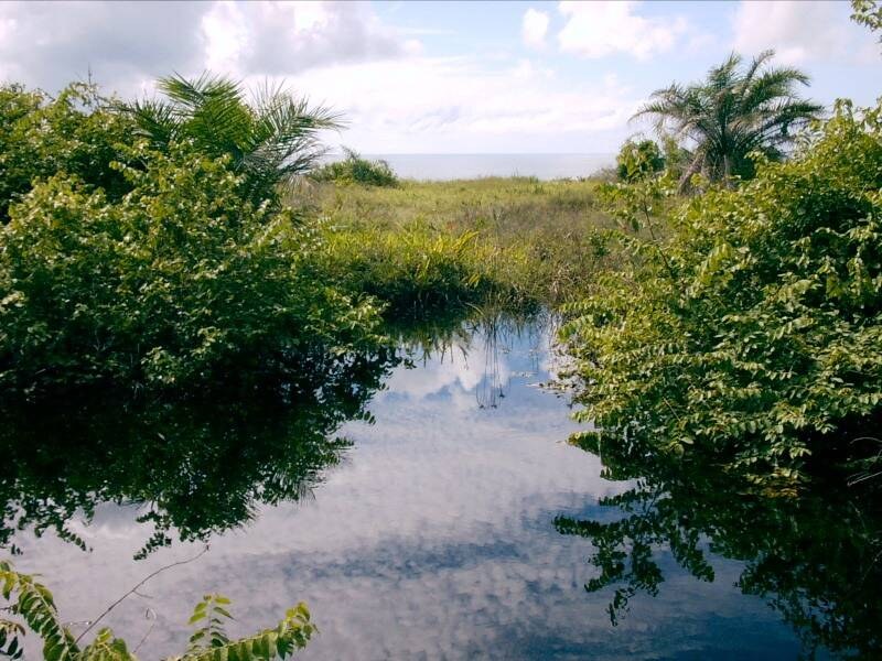 Área à Venda em Ituberá - Bahia - Brasil - 2
