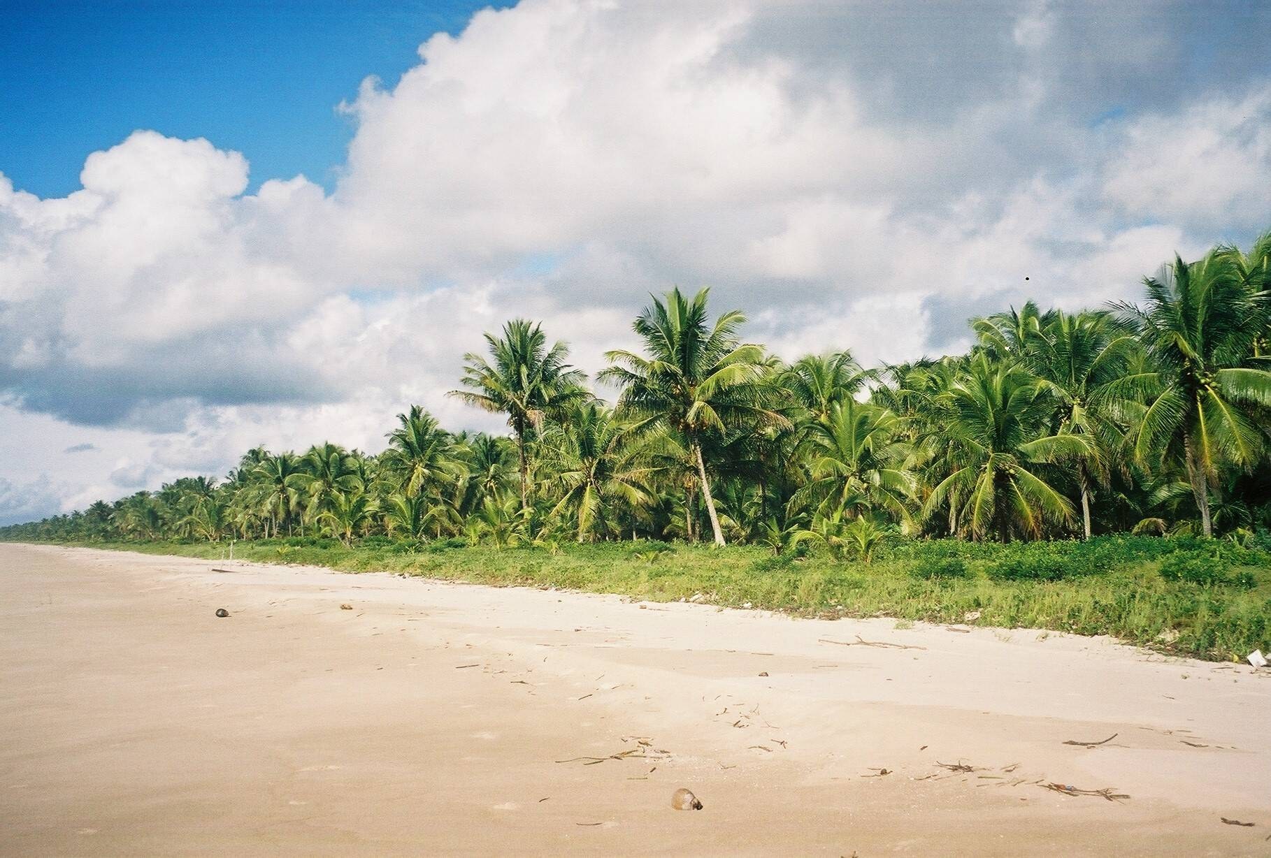 Área à Venda em Ituberá - Bahia - Brasil - 3