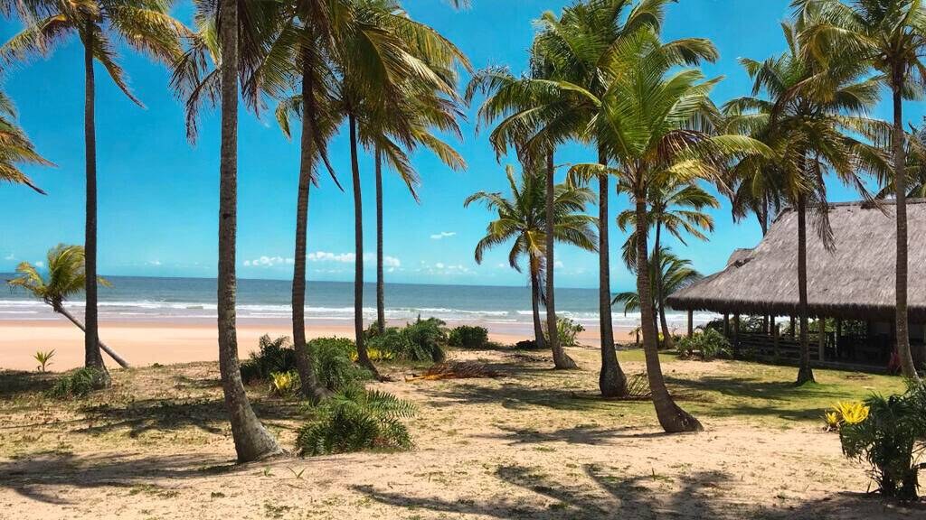 Área à Venda em Maraú - Bahia - Brasil - 6