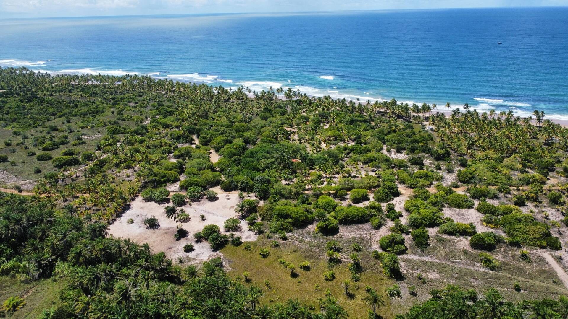 Área à Venda em Maraú - Bahia - Brasil - 1
