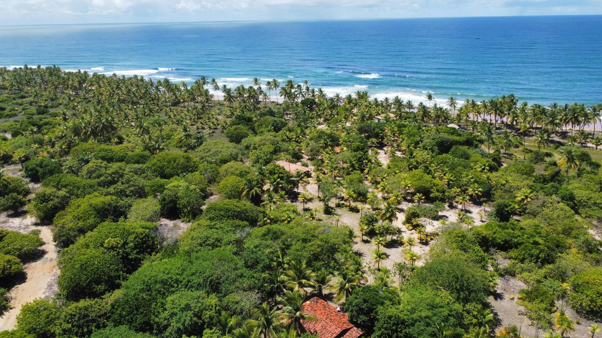 Área à Venda em Maraú - Bahia - Brasil - 2