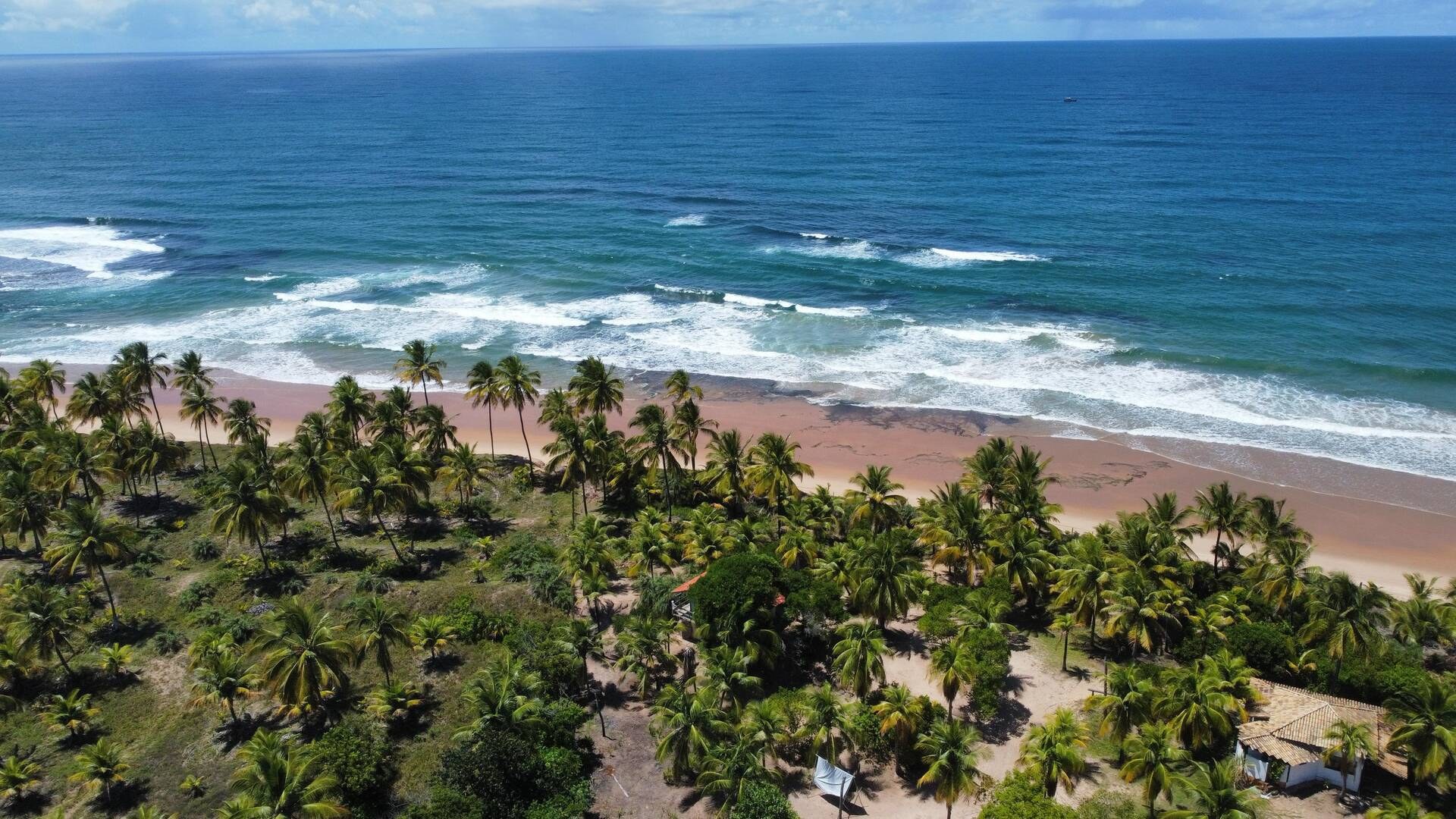 Área à Venda em Maraú - Bahia - Brasil - 3