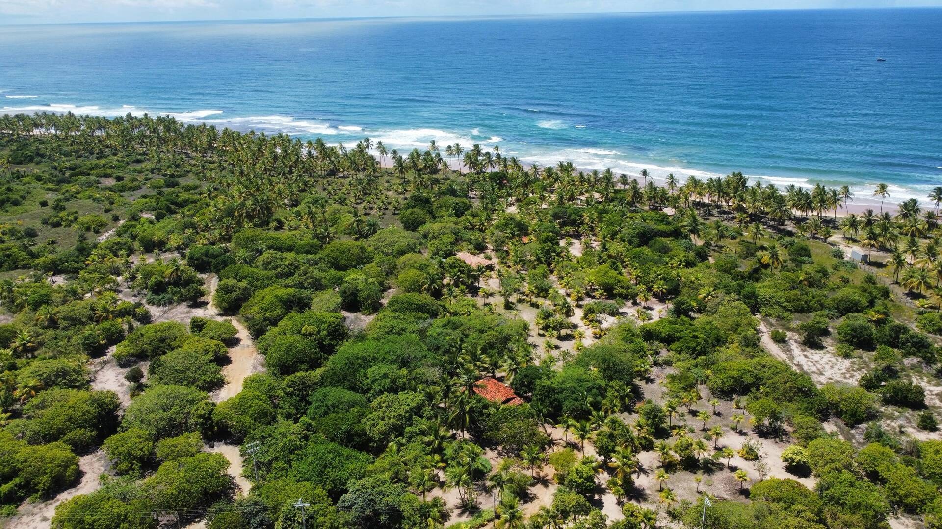Área à Venda em Maraú - Bahia - Brasil - 4