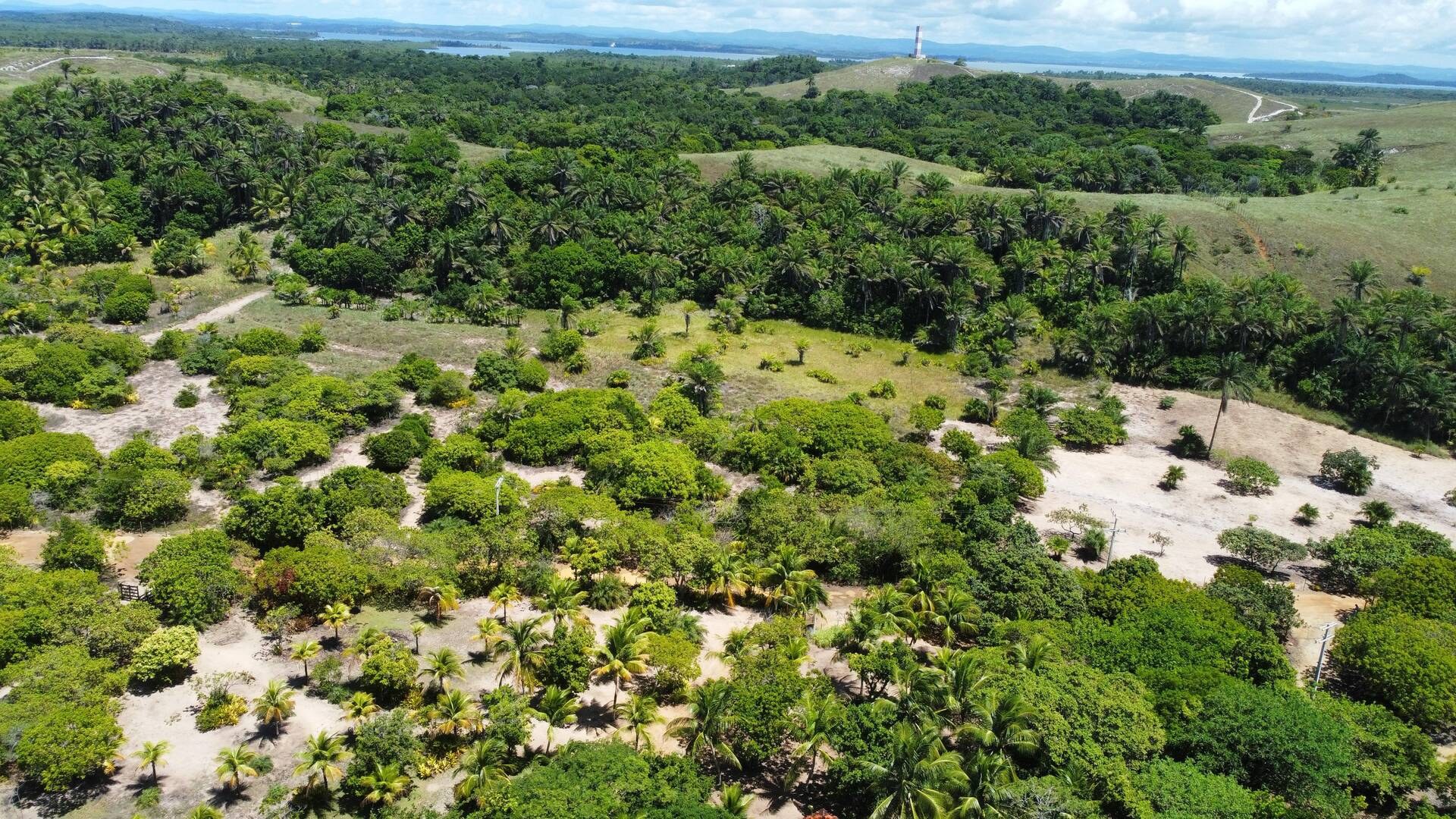 Área à Venda em Maraú - Bahia - Brasil - 6