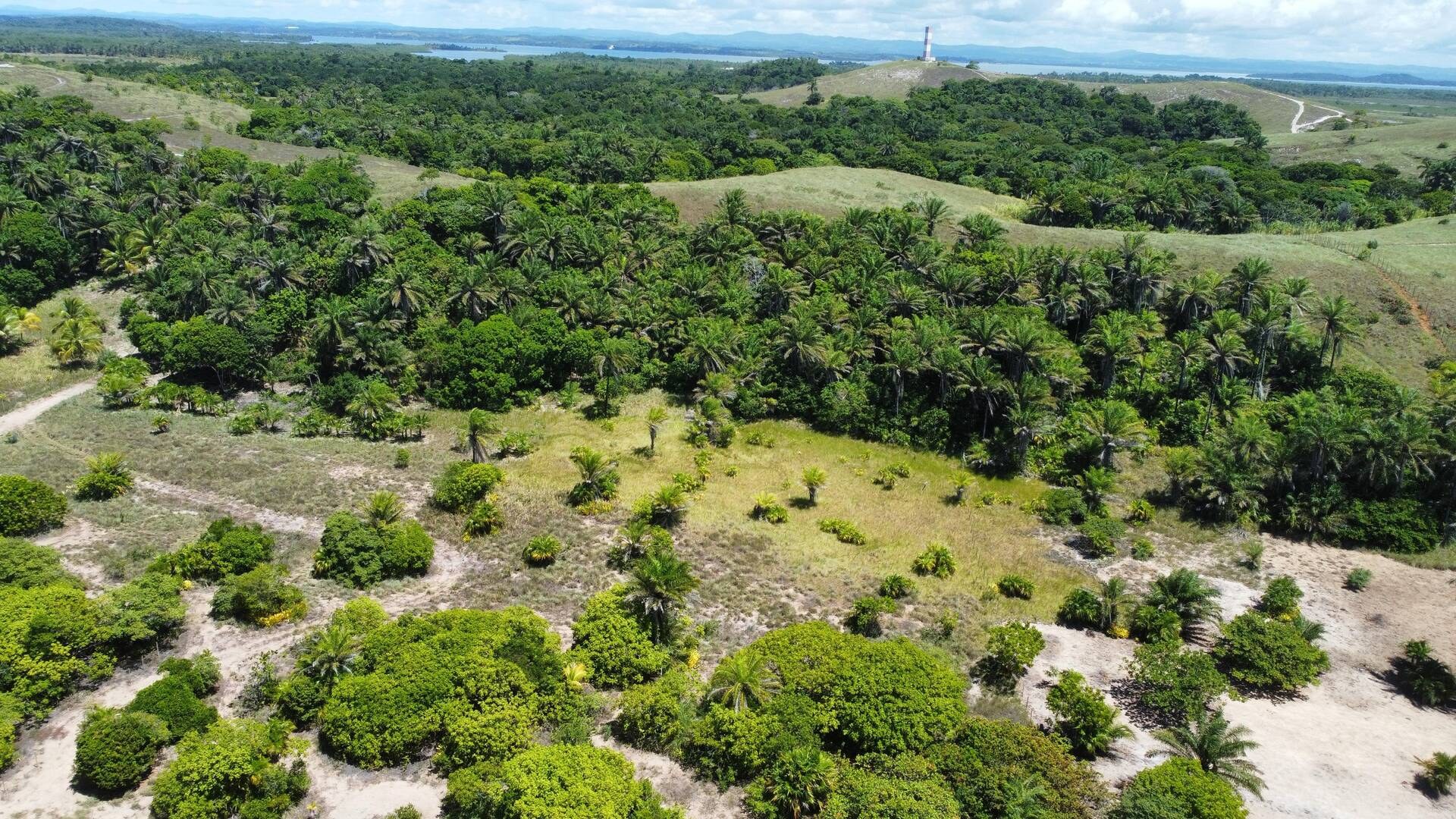 Área à Venda em Maraú - Bahia - Brasil - 7