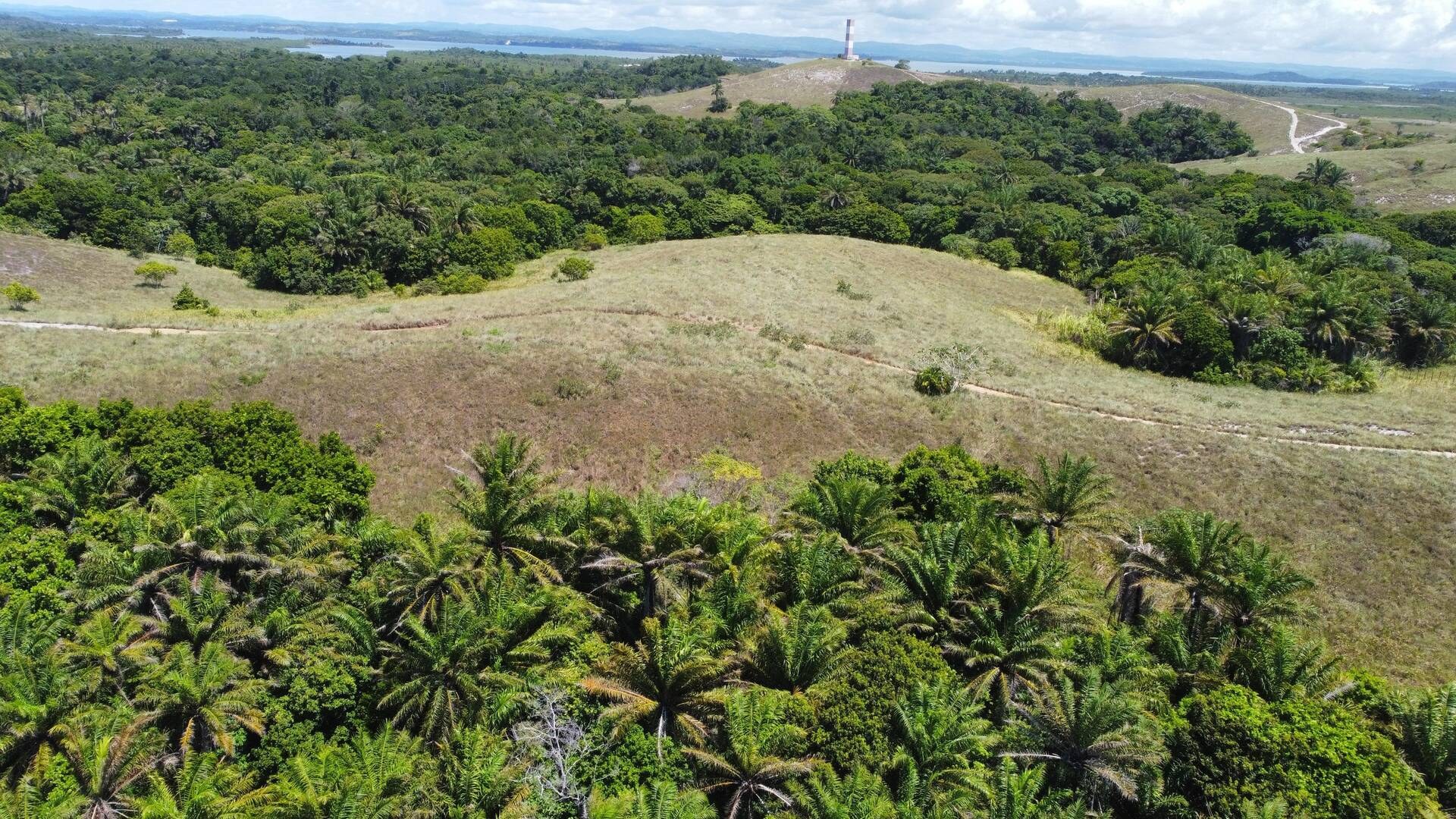 Área à Venda em Maraú - Bahia - Brasil - 8