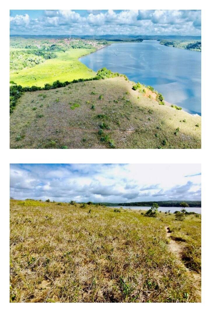Área à Venda em Maraú - Bahia - Brasil - 5