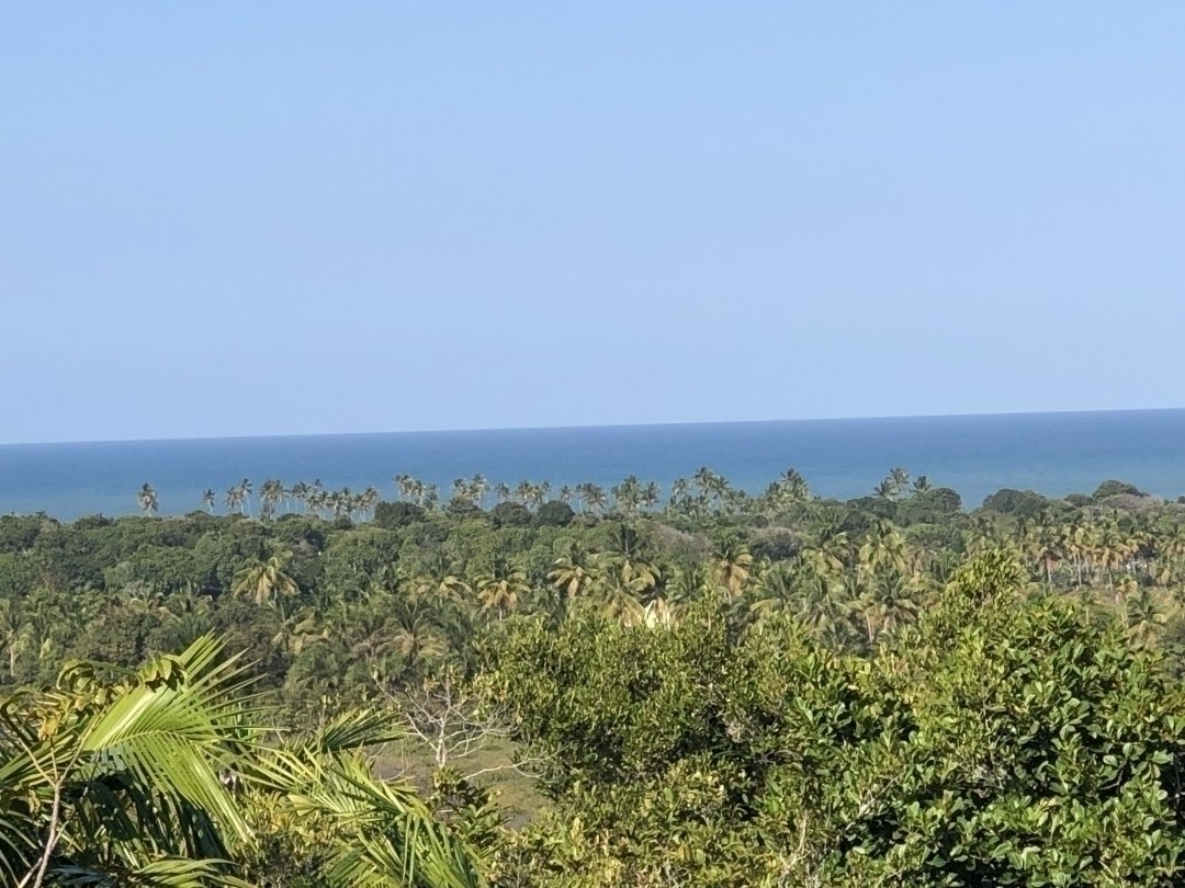 Área à Venda em Maraú - Bahia - Brasil - 2