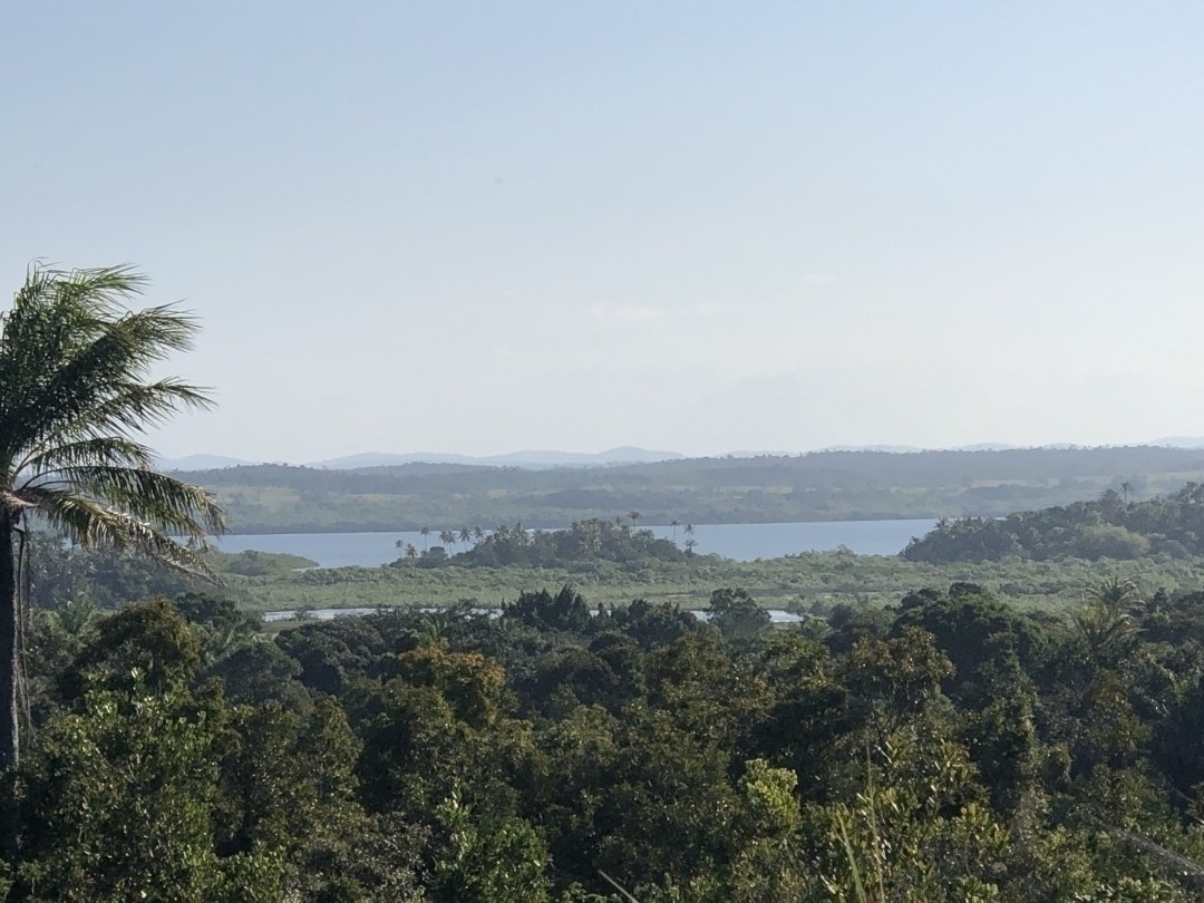 Área à Venda em Maraú - Bahia - Brasil - 3
