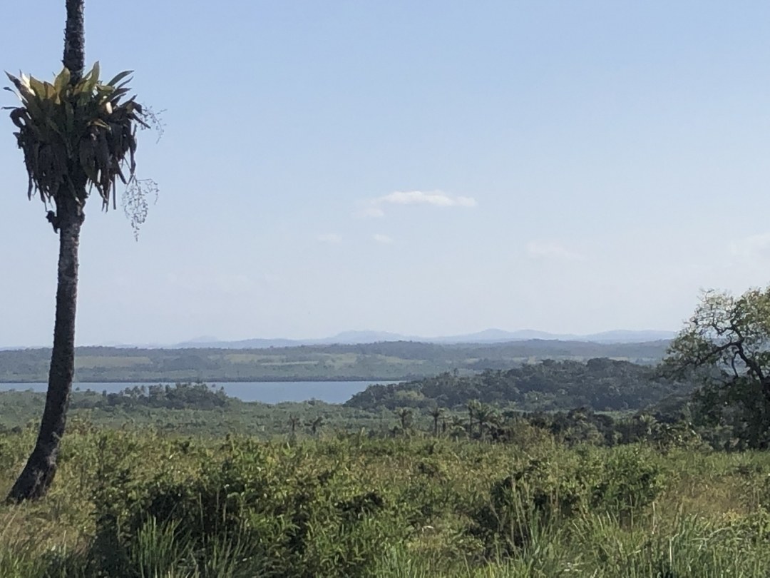 Área à Venda em Maraú - Bahia - Brasil - 6