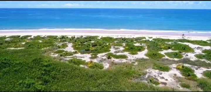 Área à Venda em Maraú - Bahia - Brasil - 1