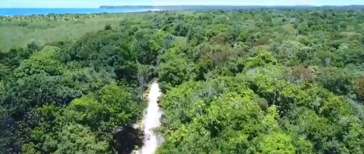 Área à Venda em Maraú - Bahia - Brasil - 5