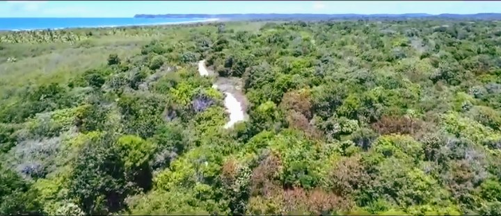 Área à Venda em Maraú - Bahia - Brasil - 6