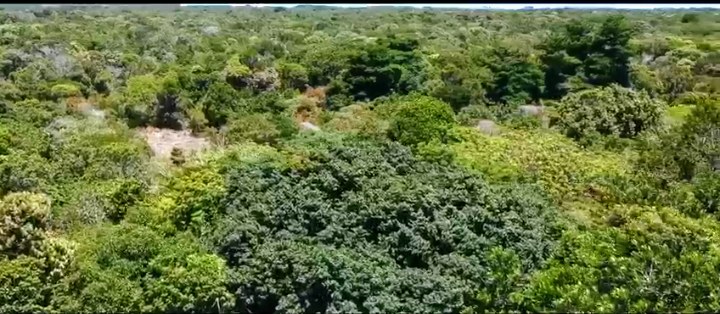 Área à Venda em Maraú - Bahia - Brasil - 8