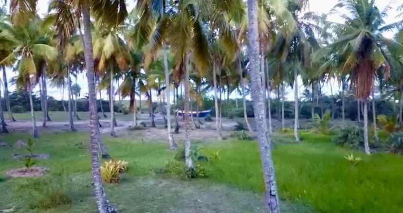 Área à Venda em Maraú - Bahia - Brasil - 5