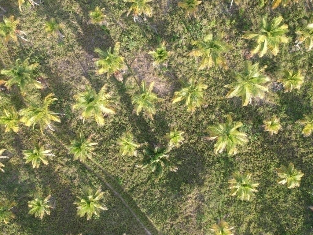 Área à Venda em Maraú - Bahia - Brasil - 2